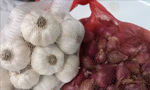 Khánh Hòa: Giá nông sản đặc thù giảm mạnh