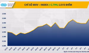 Dòng tiền đổ vào thị trường hàng hóa, MXV-Index lập đỉnh 5 năm