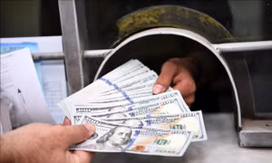 Tỷ giá hôm nay 7/8: Giá USD dần phục hồi