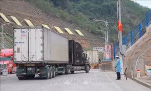 Xuất khẩu tiếp tục khó khăn khi Trung Quốc siết chặt quản lý tại cửa khẩu