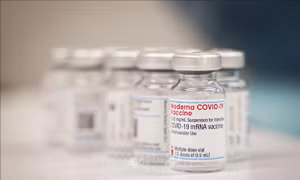 Moderna sắp xin cấp phép vaccine ngừa COVID-19 cho trẻ dưới 5 tuổi