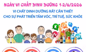 Vi chất dinh dưỡng rất cần thiết cho sự phát triển tầm vóc, trí tuệ, sức khỏe