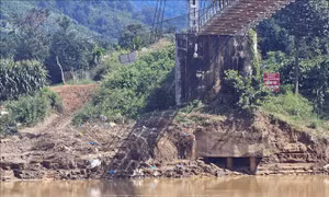 Kiến nghị hỗ trợ sửa chữa đường, cầu hư hỏng do thiên tai ven sông Krông Nô (Lâm Đồng)