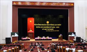 Đề xuất xem xét sửa đổi cơ chế quản lý vùng nguyên liệu chè