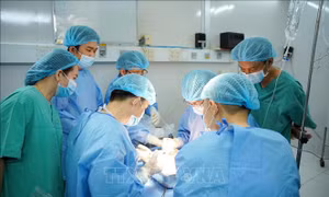 Thêm cơ sở thực hiện ghép gan, mở ra cơ hội sống cho người bệnh ung thư