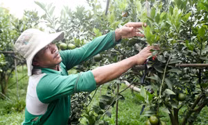 Huyện Cát Tiên (Lâm Đồng) đạt chuẩn nông thôn mới