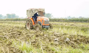 Lịch lấy nước gieo cấy vụ Đông Xuân khu vực Trung du và Đồng bằng Bắc Bộ