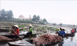 Khai thác lợi thế đa dạng, Tây Ninh tăng tốc phát triển du lịch
