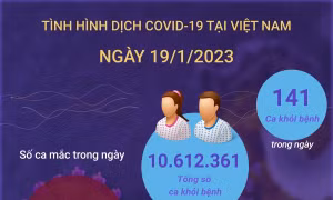 Ngày 19/1/2023: Cả nước ghi nhận 30 ca COVID-19 mới, 141 F0 khỏi bệnh