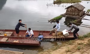 Vụ cá chết trên sông Mã: Đình chỉ 4 cơ sở sản xuất bột giấy, vàng mã