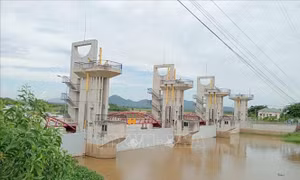 Đóng hai cống Tha La và Trà Sư kiểm soát lũ vùng Tứ Giác Long Xuyên