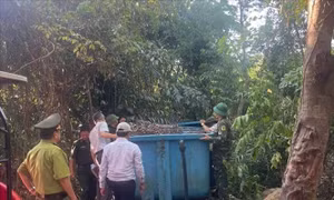 Đặc khu Cồn Cỏ tạm dừng cắm trại, dã ngoại trong và ven rừng để phòng cháy rừng