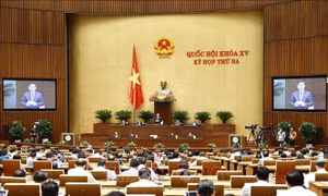 Cử tri TP Hồ Chí Minh: Chương trình chất vấn, trả lời chất vấn thể hiện trách nhiệm cao với cử tri