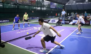 Hơn 500 vận động viên tranh tài Giải Pickleball thành phố Đà Nẵng mở rộng