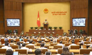 Ngày làm việc cuối cùng (19/6), Quốc hội biểu quyết nhiều nội dung quan trọng 