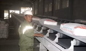 Đại hội thi đua yêu nước lần thứ X: Những sáng kiến hay của một công đoàn viên