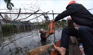 Hà Tĩnh: Nhiều xã của huyện Thạch Hà vẫn chìm trong biển nước