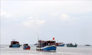 Khắc phục 'thẻ vàng' IUU: Đảm bảo nguồn gốc thủy sản sau khai thác