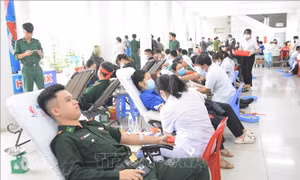 Tuổi trẻ Đà Nẵng hiến hơn 15.000 đơn vị máu trong năm 2022