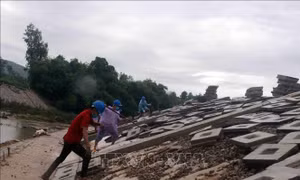 Bình Định gấp rút thi công công trình đập dâng, kè chống sạt lở