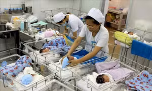 Ngày Dân số Việt Nam (26/12): Chuẩn bị hành trang để đón thế hệ vàng