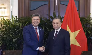 Tổng Bí thư, Chủ tịch nước Tô Lâm tiếp lãnh đạo một số doanh nghiệp lớn của Singapore