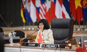 Việt Nam thúc đẩy đối thoại vì một ASEAN gắn kết và bao trùm hơn