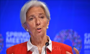 Tổng Giám đốc IMF đệ đơn từ chức