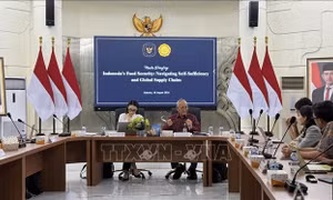 Định hướng phát triển nông nghiệp của Indonesia mở ra tiềm năng hợp tác với Việt Nam