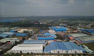 Phát hiện nhiều sai phạm tại khu vực quy hoạch Cụm công nghiệp Phước Tân