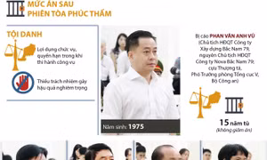 Phúc thẩm vụ Vũ 'nhôm': Hai cựu Thứ trưởng công an không được giảm án