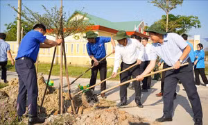 Tháng Thanh niên năm 2026: Cụ thể hóa bằng những việc làm hiệu quả 