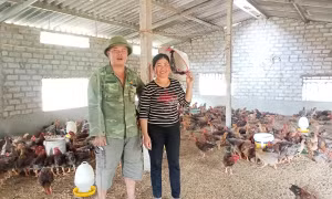 Làm giàu nhờ ưu đãi từ ngân hàng chính sách xã hội