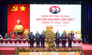 Dấu mốc quan trọng đưa Cà Mau phát triển toàn diện