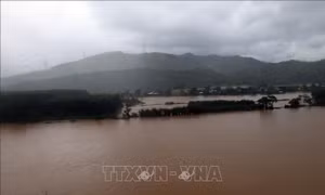 Đà Nẵng: Lắp Trạm thu - phát sóng dã chiến tại vùng bị mưa lũ cô lập