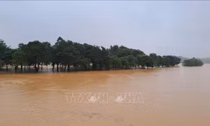 Lũ sông Hương lên lại, cảnh báo ngập lụt kéo dài ở hạ lưu các sông