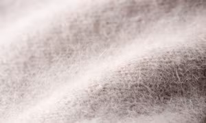Hãng thời trang Armani ngừng sử dụng len angora để bảo vệ động vật