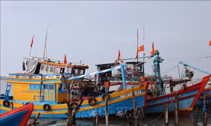 Tuyên chiến với IUU - Bài 2