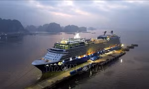 Quảng Ninh đón chuyến tàu du lịch biển ngay đầu năm mới