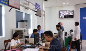 Tinh gọn bộ máy: Từ ổn định tổ chức đến kiến tạo phát triển 