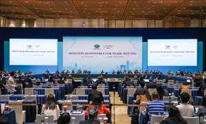 APEC nhấn mạnh thúc đẩy hợp tác thương mại, kinh tế số và tăng trưởng xanh