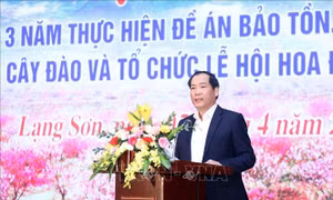 Xây dựng thương hiệu hoa đào xứ Lạng đủ mạnh để vươn xa