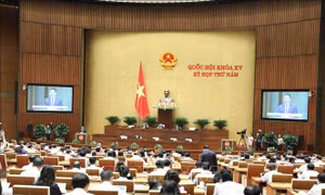 Kỳ họp thứ 5, Quốc hội khóa XV: Thảo luận về dự án Luật Đấu thầu (sửa đổi)