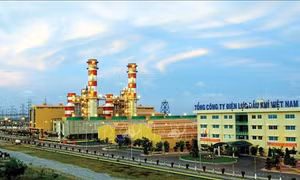 Cà Mau phấn đấu trở thành trung tâm năng lượng khu vực đồng bằng sông Cửu Long