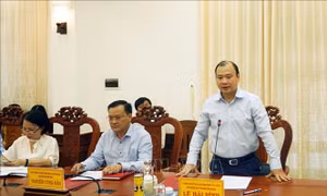 Đoàn công tác Ban Tuyên giáo Trung ương làm việc với Tỉnh ủy Ninh Thuận