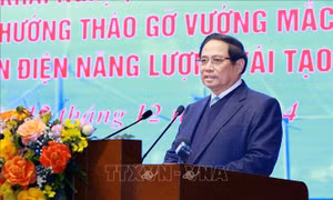 Thủ tướng yêu cầu hoàn thành tháo gỡ khó khăn cho dự án điện năng lượng tái tạo trong tháng 1/2025