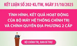 Kết luận số 202-KL/TW: Nhiệm vụ của các tỉnh ủy, thành ủy