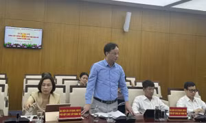 Bước ngoặt thể chế và mô hình kinh tế thế hệ mới