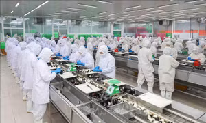 Xuất khẩu nông, lâm, thủy sản tăng 6% trong 6 tháng đầu năm