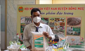 Góp phần đưa hạt gạo của Đồng Tháp ngày càng vươn xa